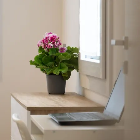 Tra Il Ed Il Balsamico Spilamberto