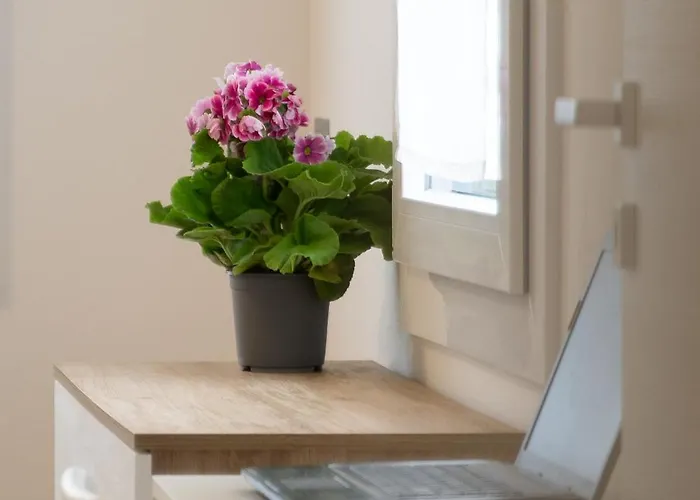 Tra Il Ed Il Balsamico Spilamberto